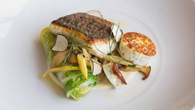 Mooncusser Mooncusser